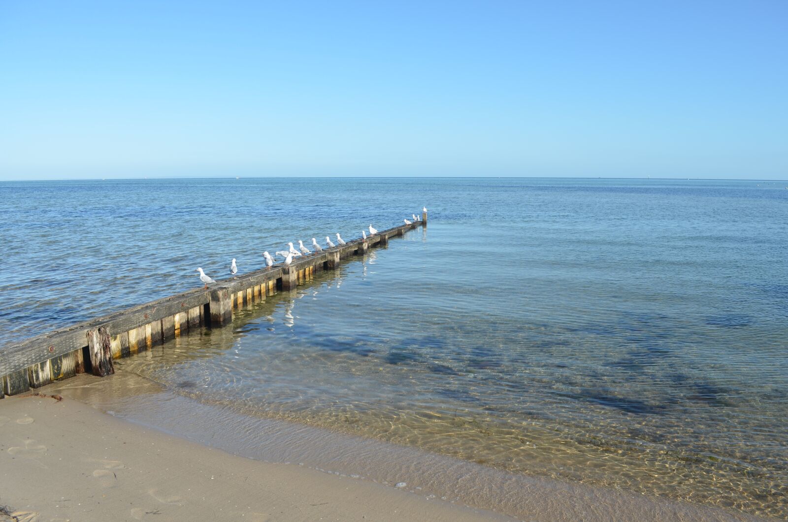 Nikon D5100 sample photo. Beach, calm, bay photography