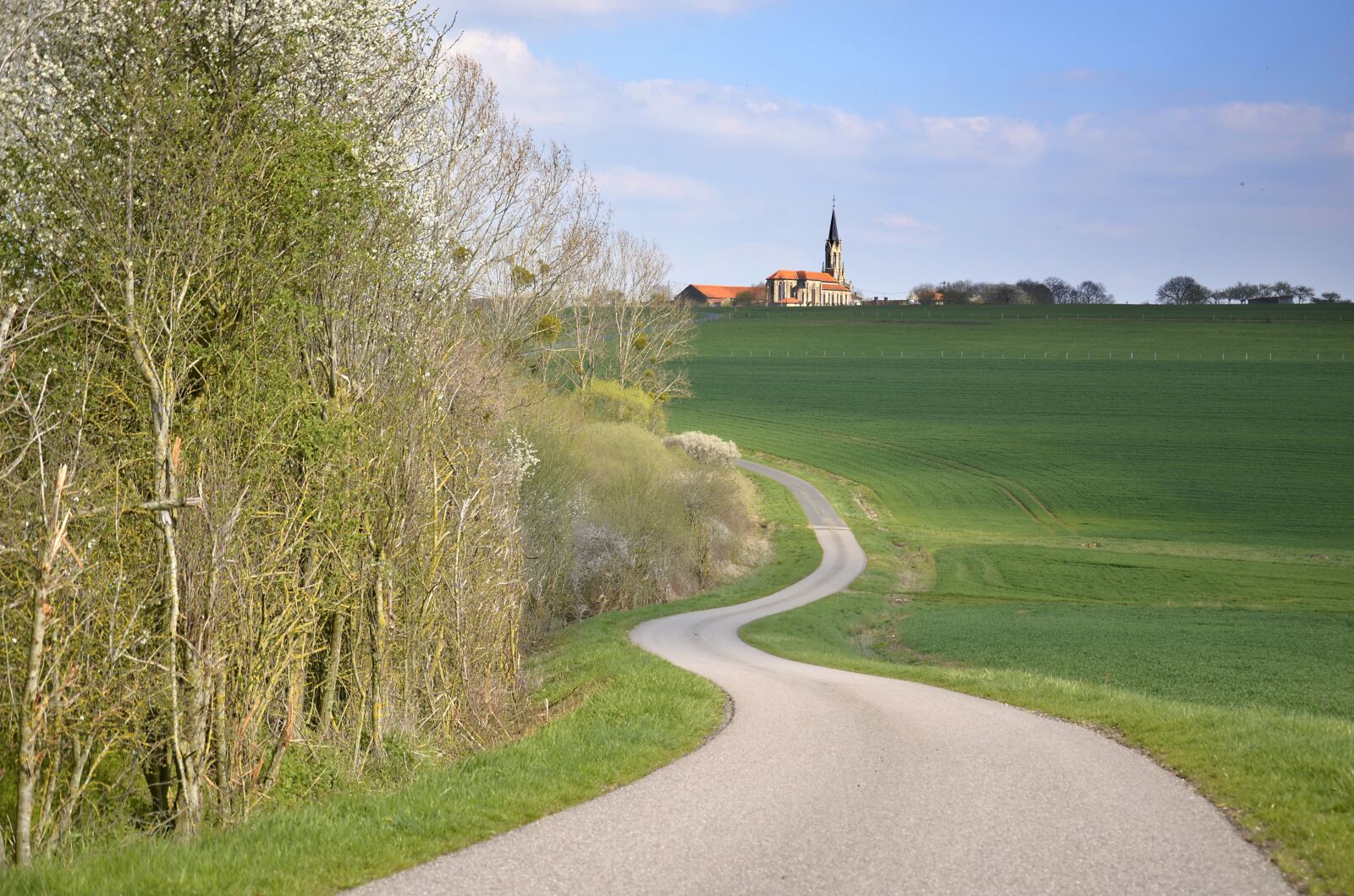Nikon D5100 sample photo. Road, village, nature photography