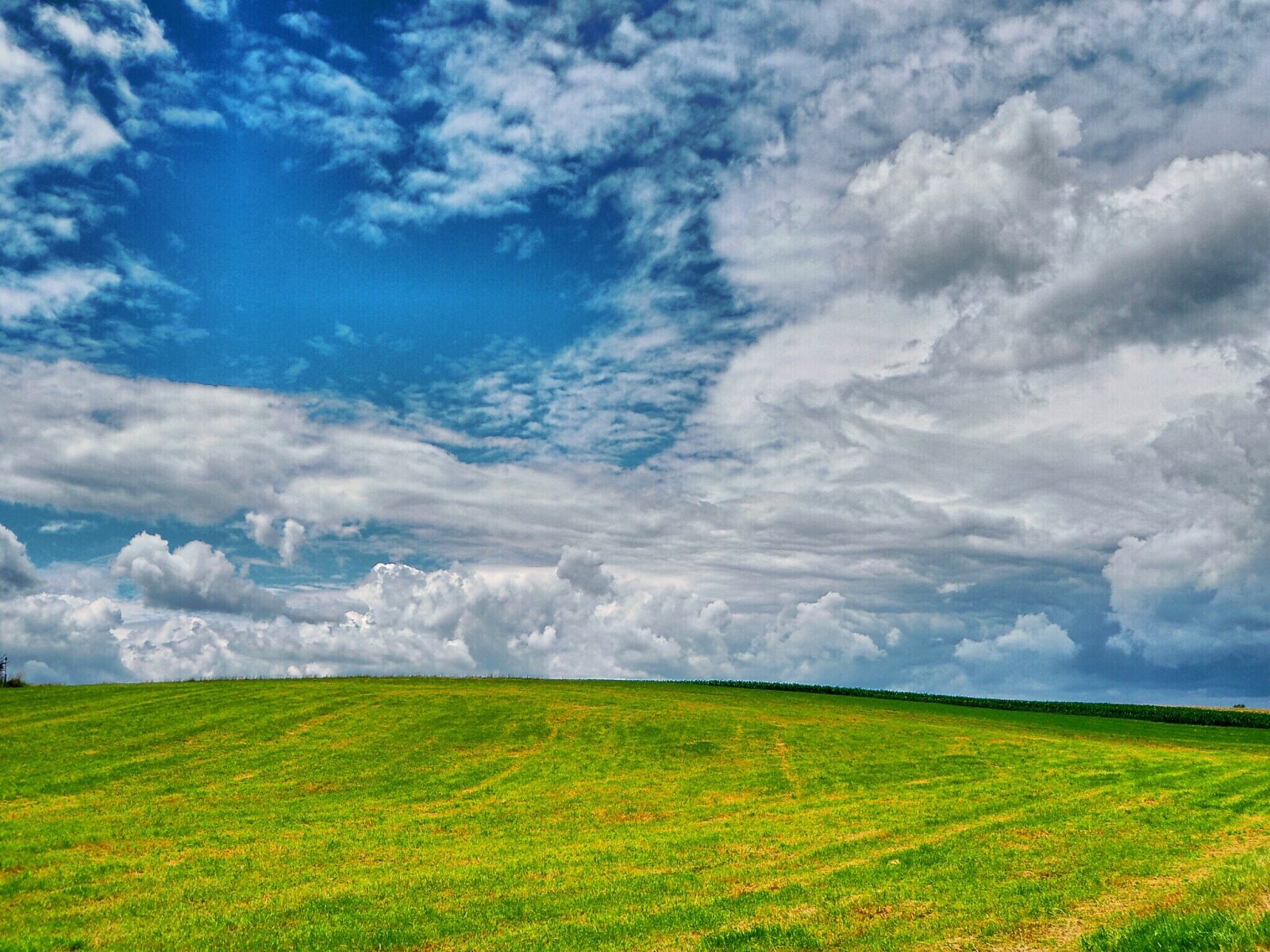 Olympus OM-D E-M10 sample photo. Summer, meadow, blue photography
