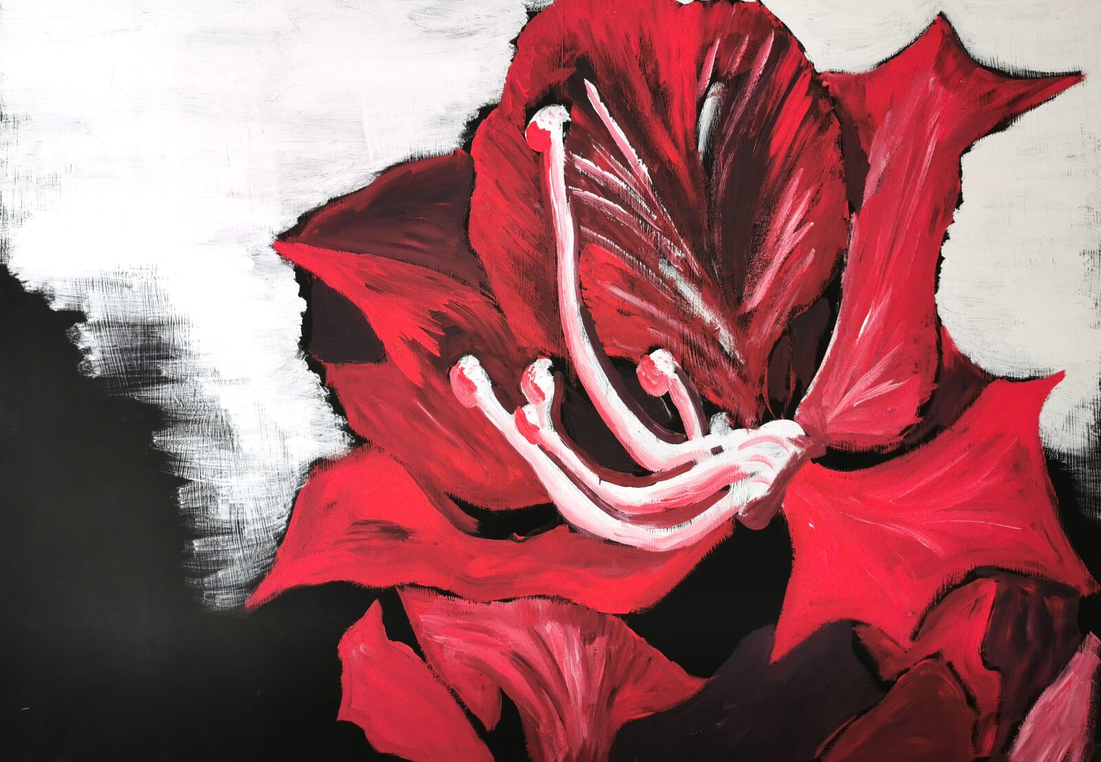 HUAWEI P30 sample photo. Painting, flower, red photography