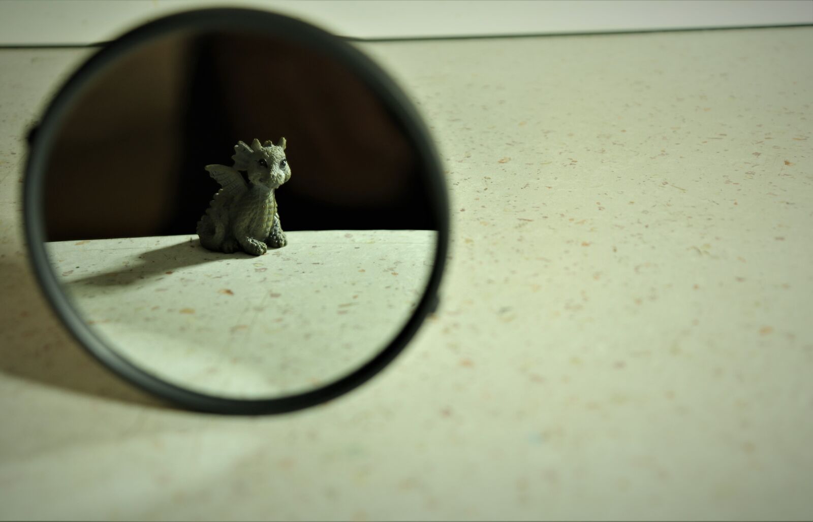Canon EOS 80D sample photo. Mirror photography, reflection of photography