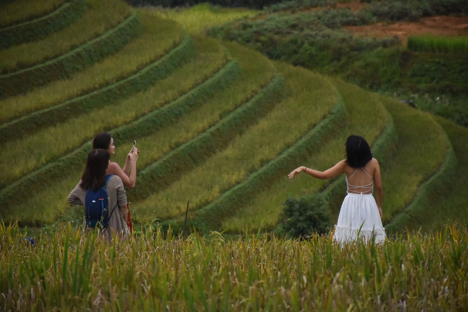 Nikon D7200 sample photo. Terraces, mountains, vietnam photography