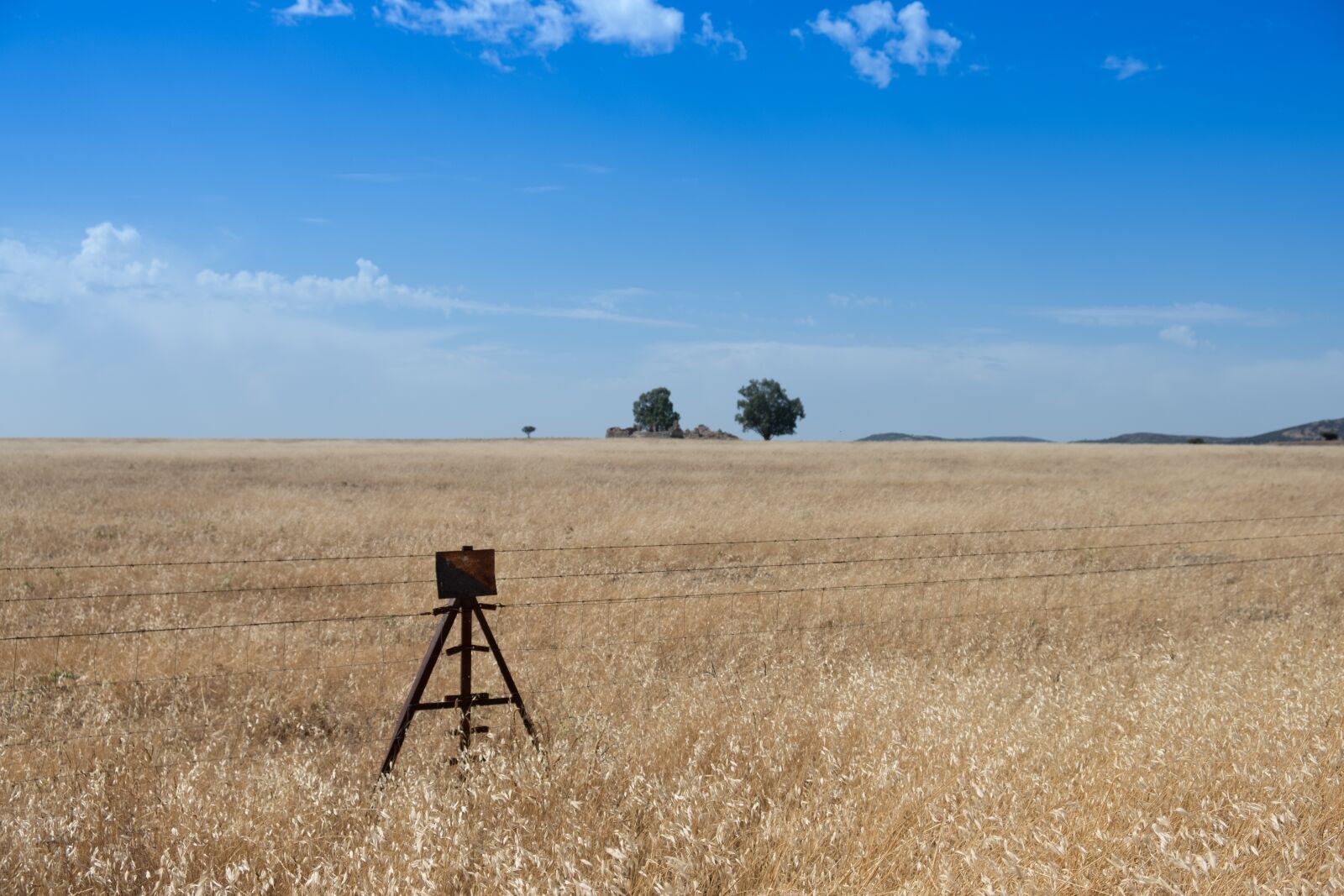 Fujifilm X-T2 sample photo. Wired, rusty, oxide photography