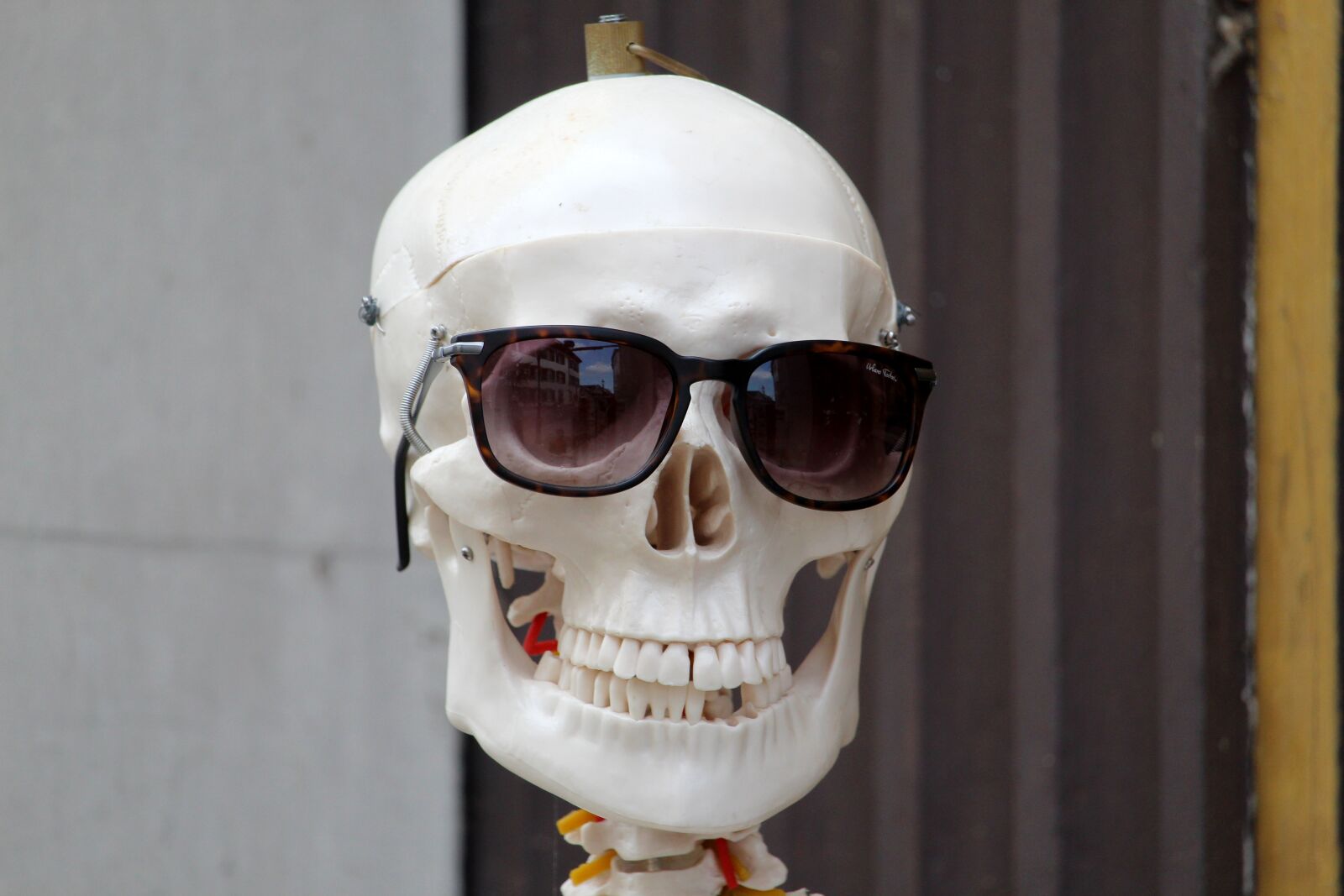 Canon EF-S 55-250mm F4-5.6 IS STM sample photo. Skull and crossbones, skeleton photography