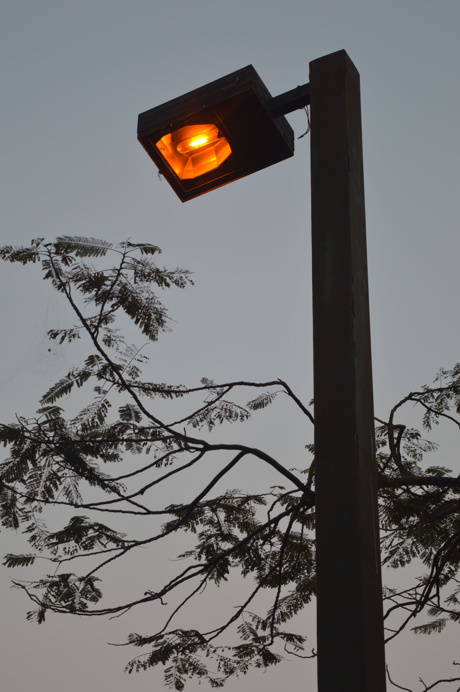 Nikon D3200 sample photo