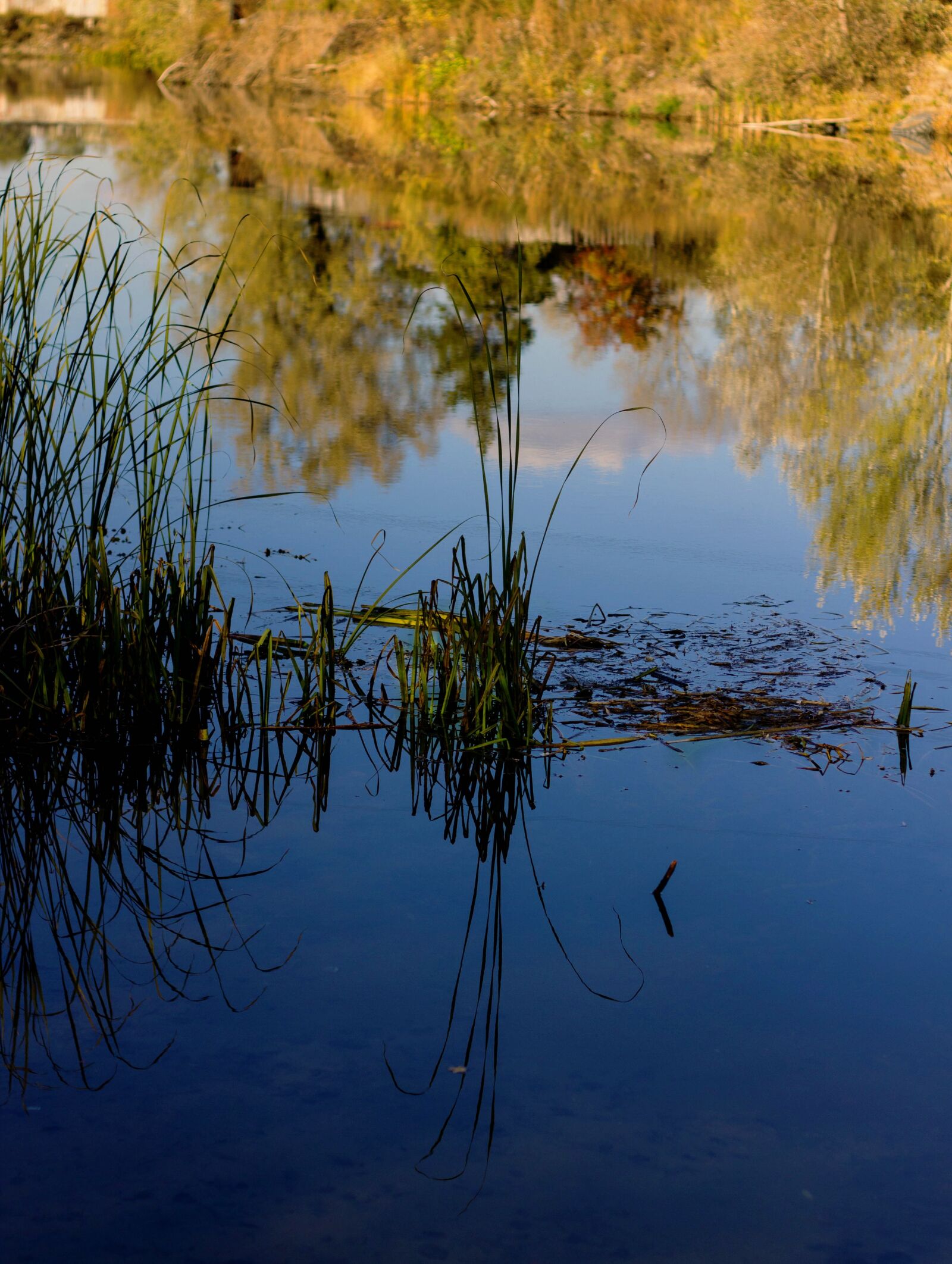 Canon EOS 600D (Rebel EOS T3i / EOS Kiss X5) + Canon EF 50mm F1.8 II sample photo. Autumn, river, reflection photography