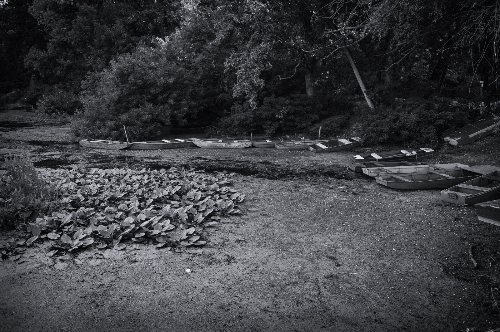 Nikon D3200 sample photo. Boats, black and white photography