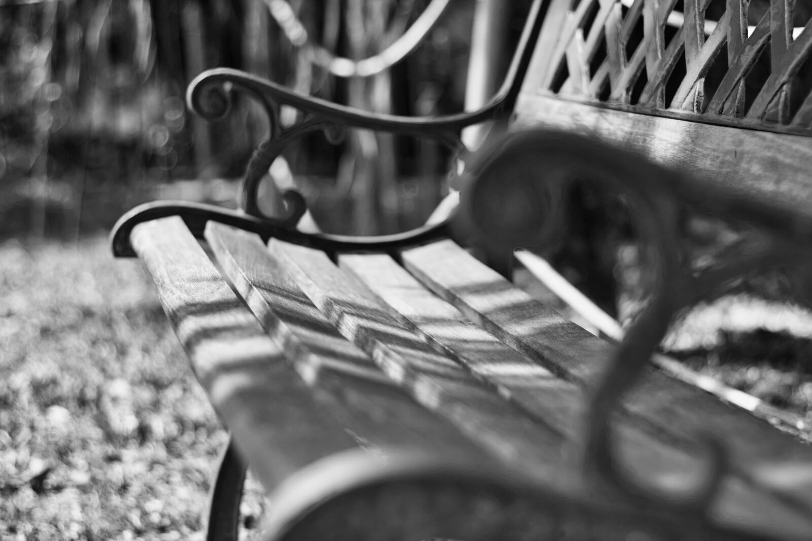 Canon EOS 550D (EOS Rebel T2i / EOS Kiss X4) + Canon EF 50mm F1.8 STM sample photo. Bench, park, rest photography