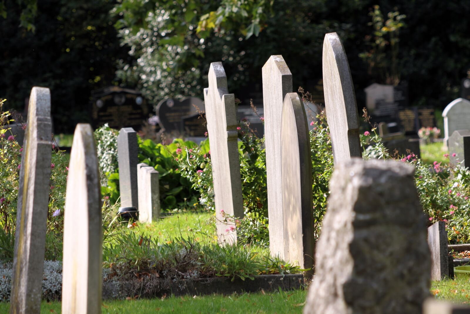 Canon EOS 500D (EOS Rebel T1i / EOS Kiss X3) sample photo. Headstone, graveyard, stone photography