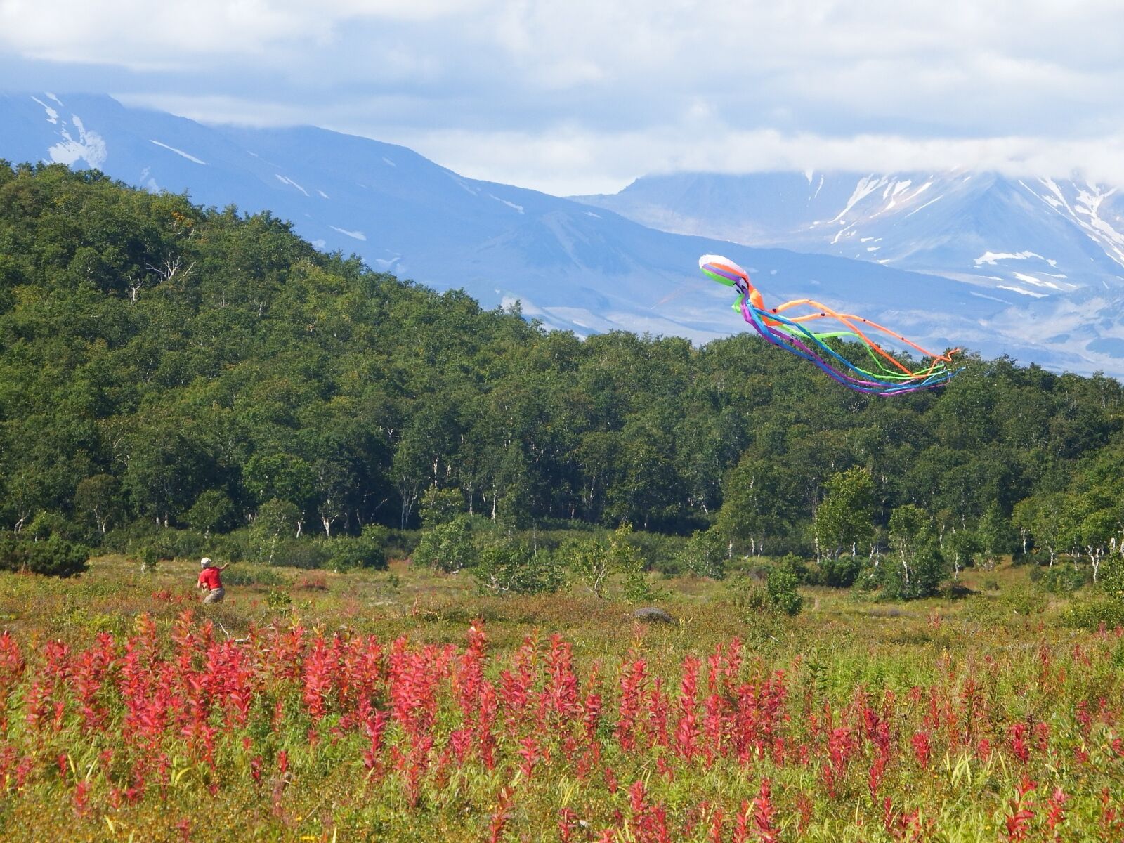 Fujifilm FinePix S1 sample photo. Forest, mountains, tundra photography
