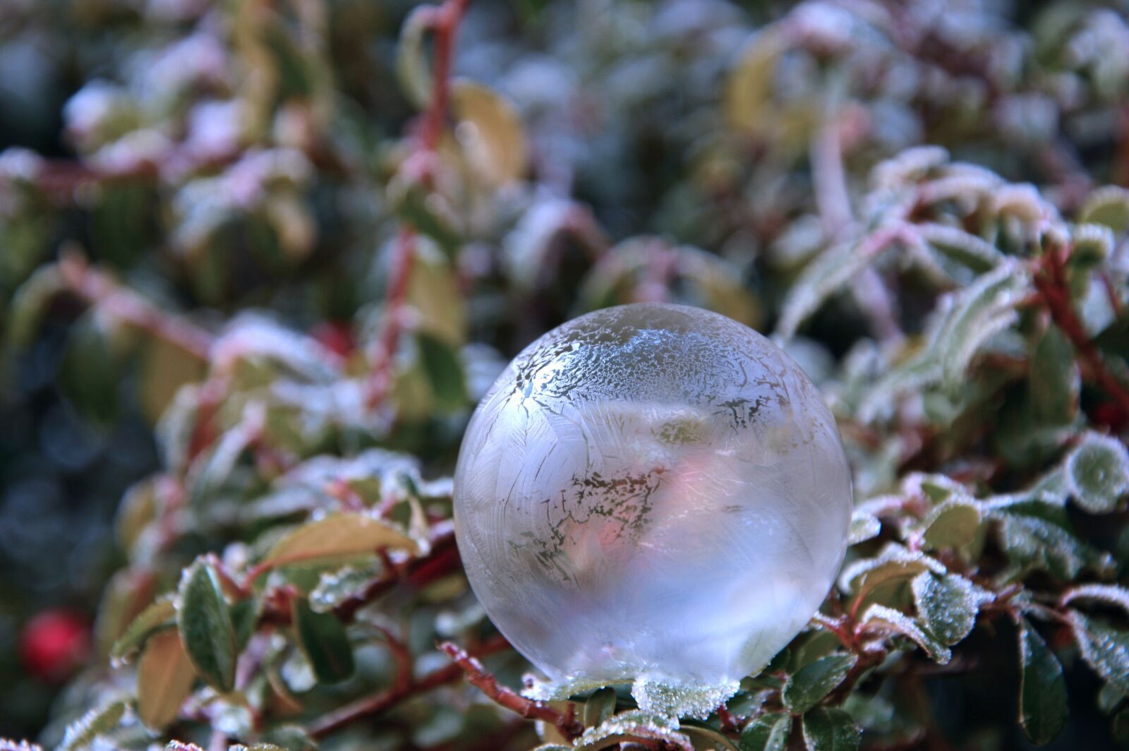 Nikon D3200 sample photo. Soap bubble, frozen, ice photography
