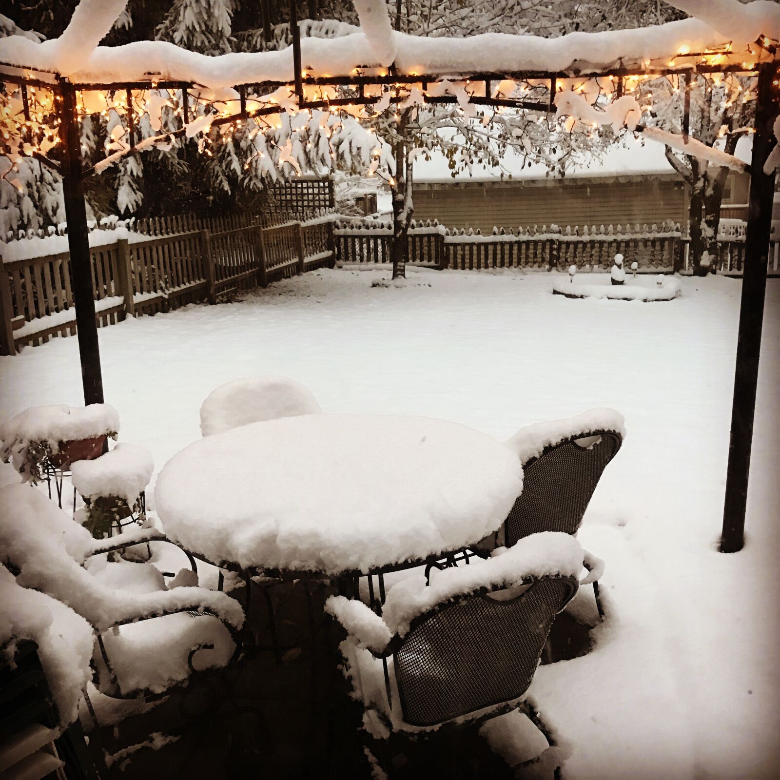 Apple iPhone 7 sample photo. Snow, backyard, light photography