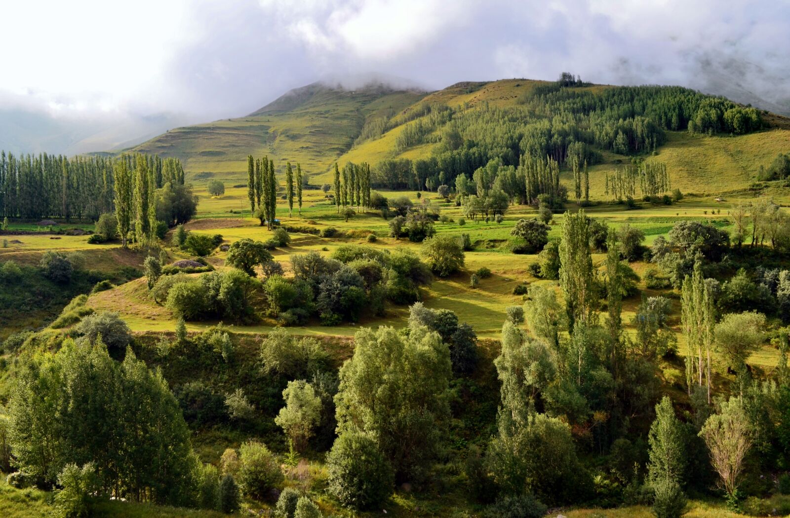 Nikon D5100 sample photo. Nature, landscape, kaçkars photography