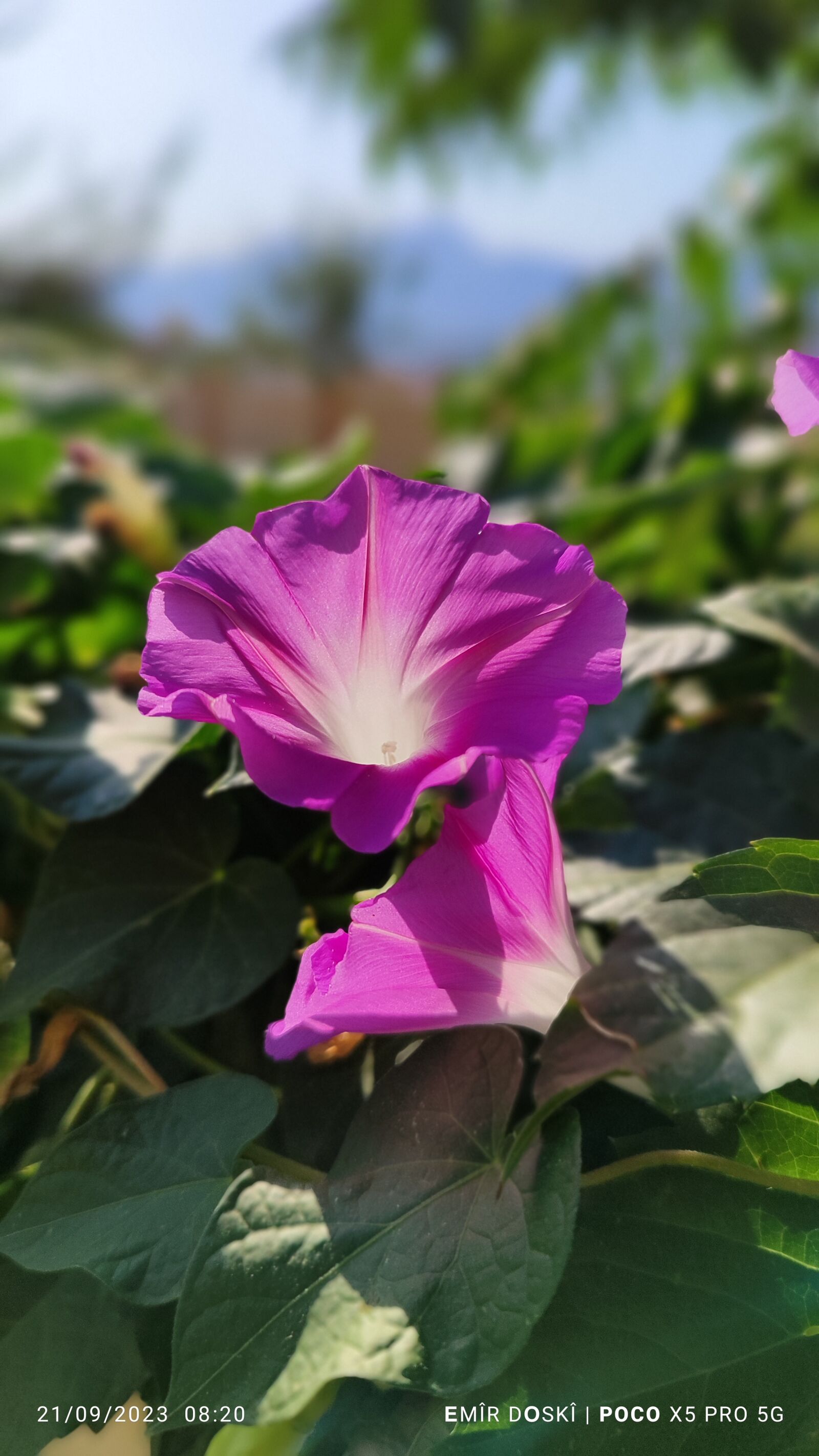 Xiaomi 22101320G sample photo. Şêladizê photography
