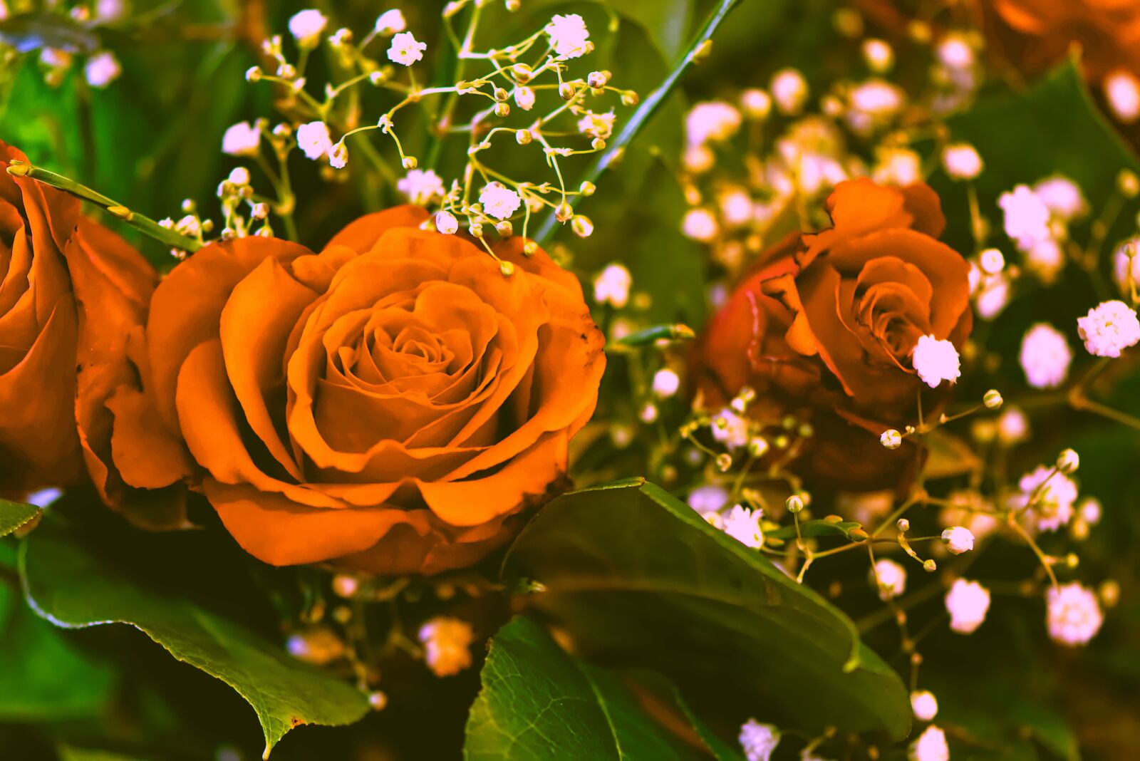 Nikon D7200 sample photo. Roses, flowers, bouquet photography