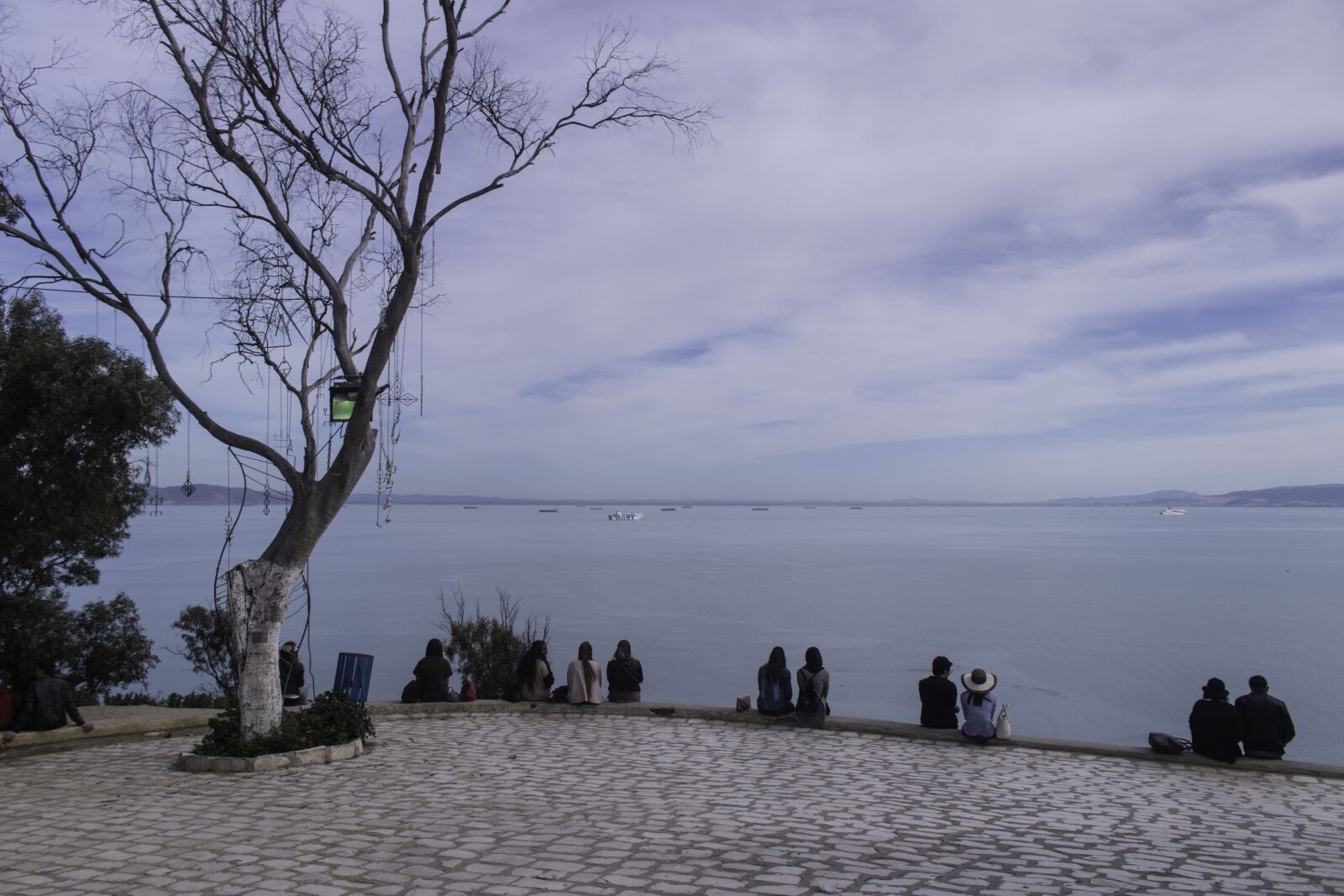 Canon EOS 80D sample photo. Tree, body of water photography