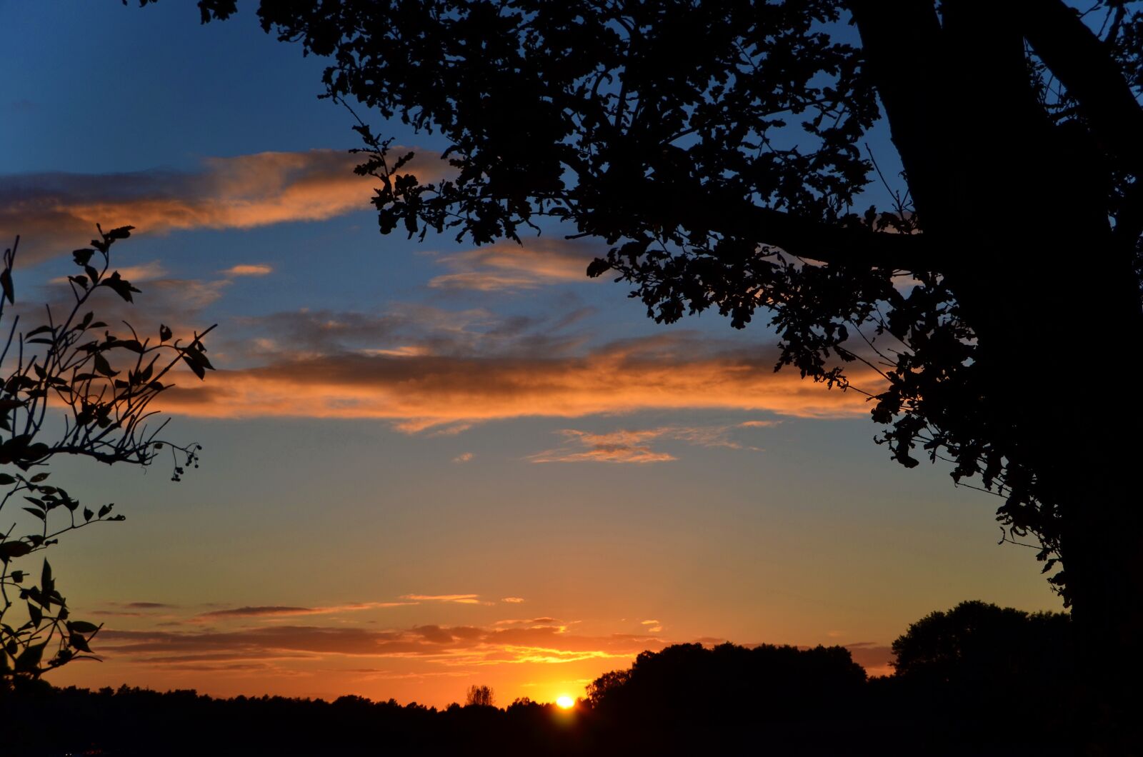 Nikon D5100 sample photo. Sunset, sun, silhouette photography