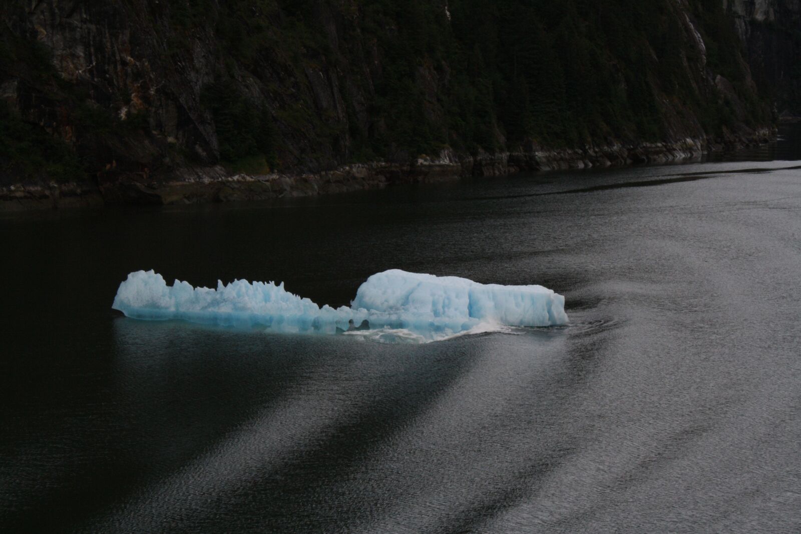 Canon EOS 1000D (EOS Digital Rebel XS / EOS Kiss F) sample photo. Ice, nature, snow photography