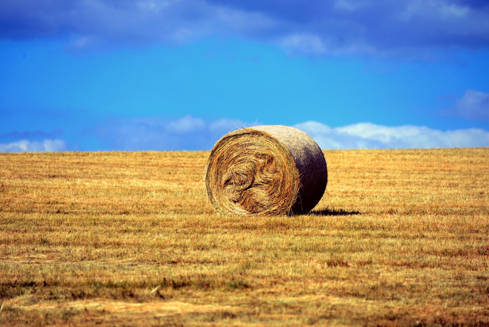 Nikon D610 sample photo. Straw bales, hay bales photography