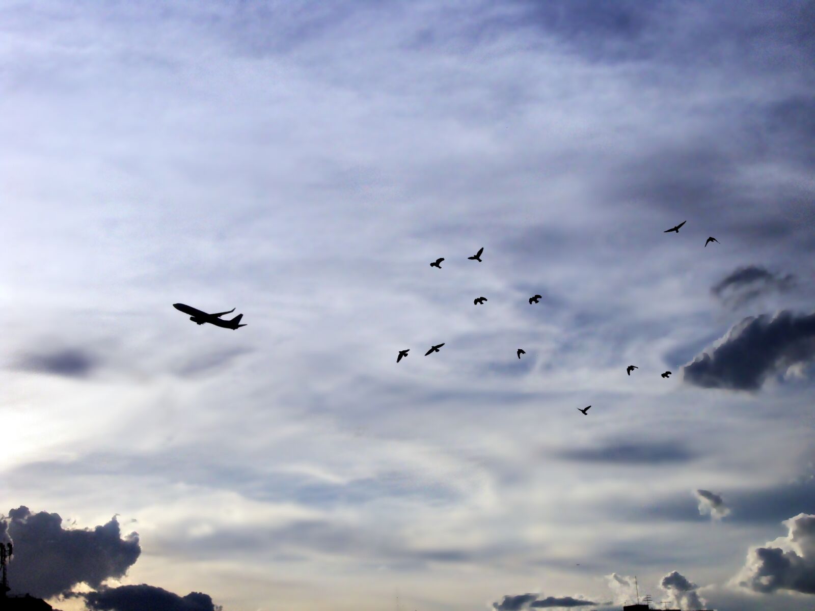 Sony Cyber-shot DSC-S930 sample photo. Aviao, birds, clouds, sky photography