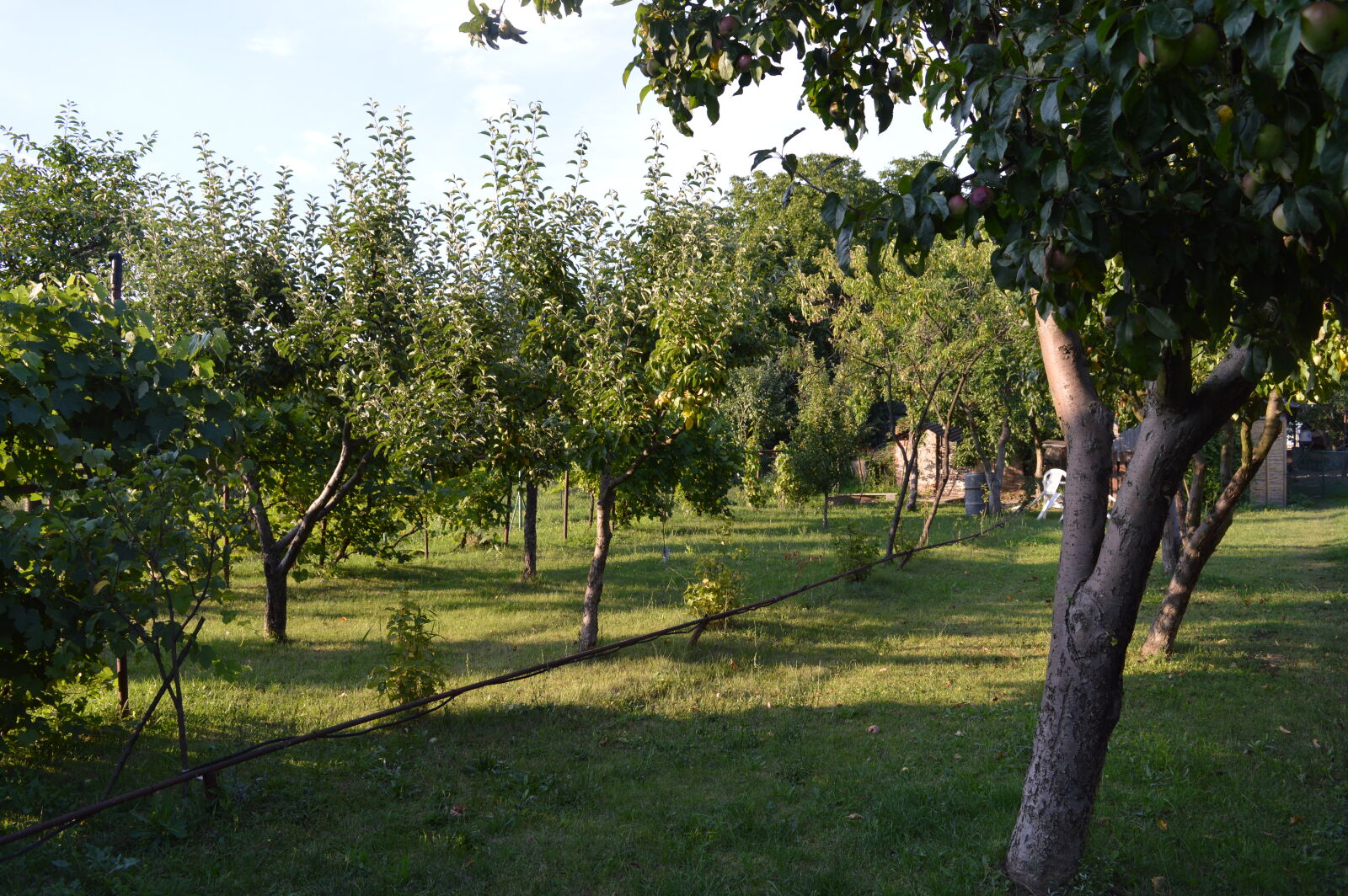 Nikon D3200 sample photo. Mothernature, nature, nature, photography photography