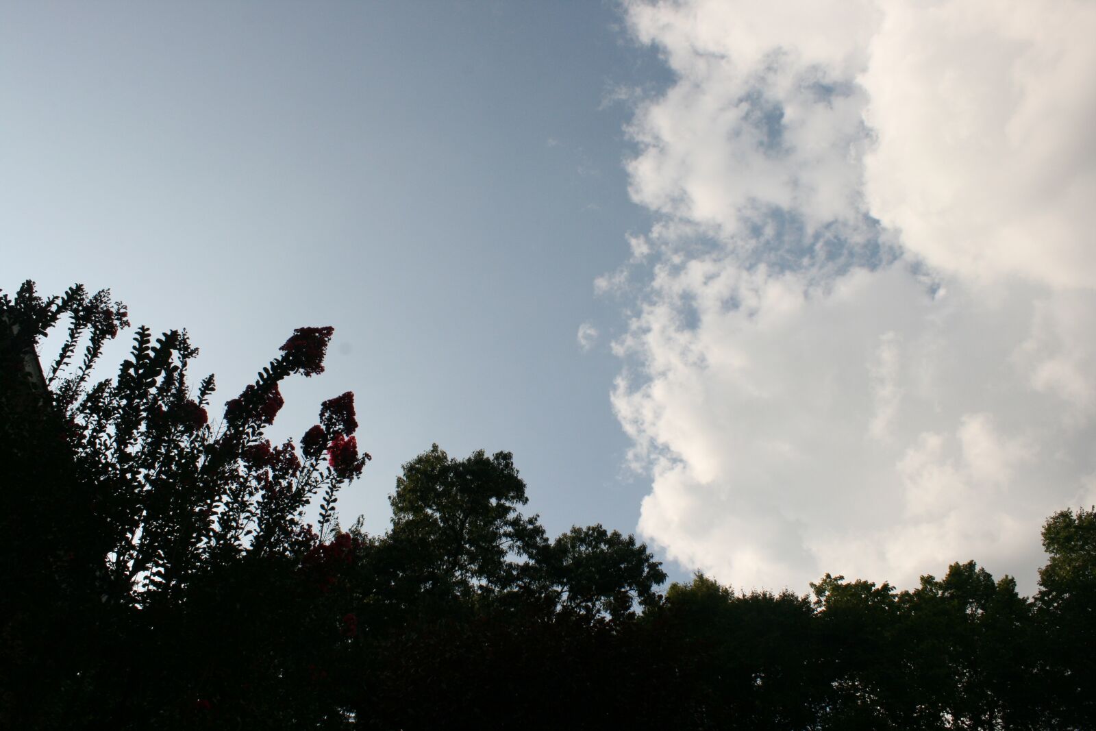 Canon EOS 400D (EOS Digital Rebel XTi / EOS Kiss Digital X) sample photo. Sky, dusk, clouds photography