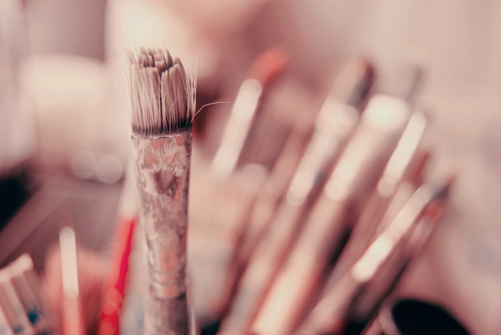 Nikon D3000 sample photo. Brush, the art of photography