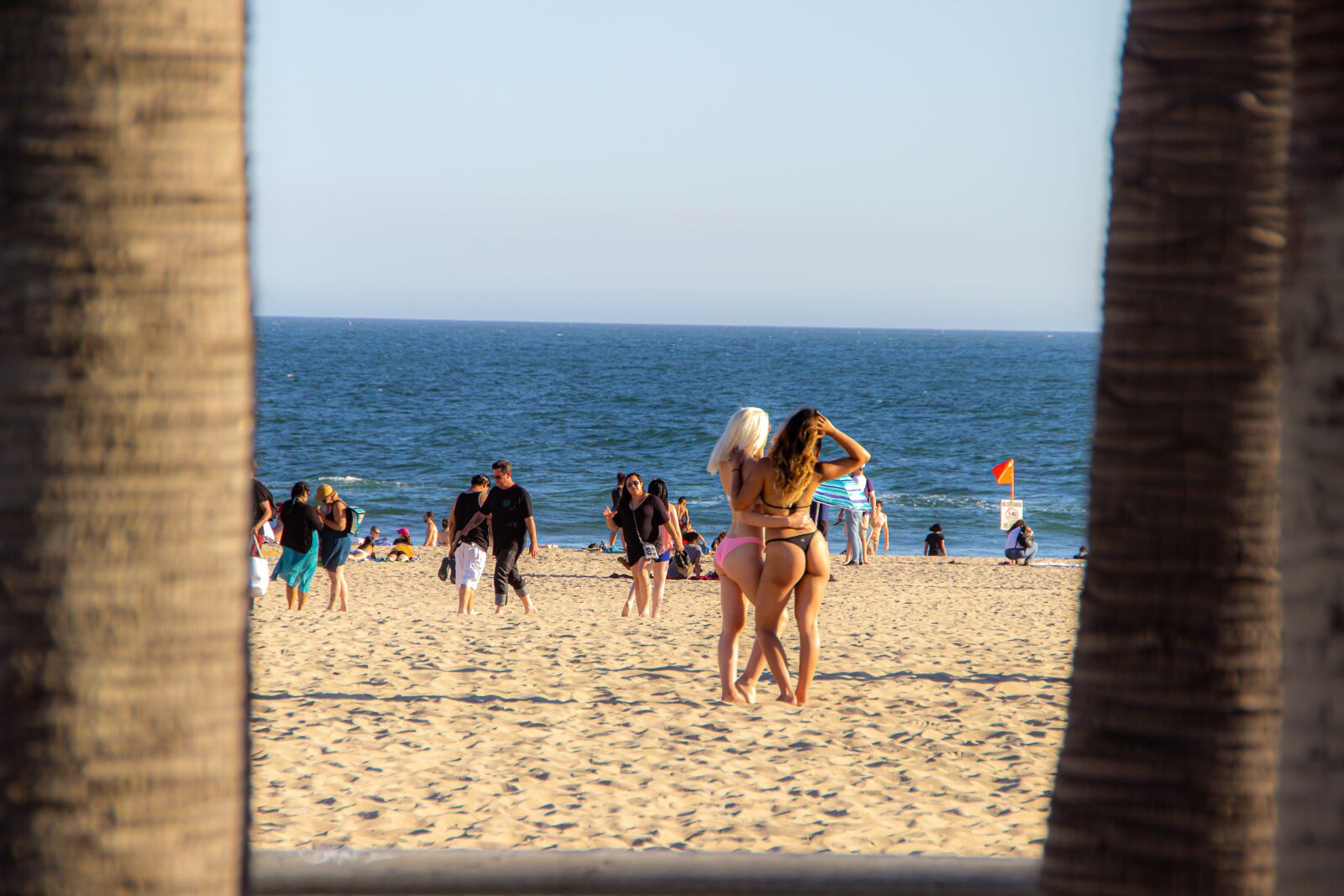 Canon EOS 600D (Rebel EOS T3i / EOS Kiss X5) sample photo. Venice beach, la, los photography