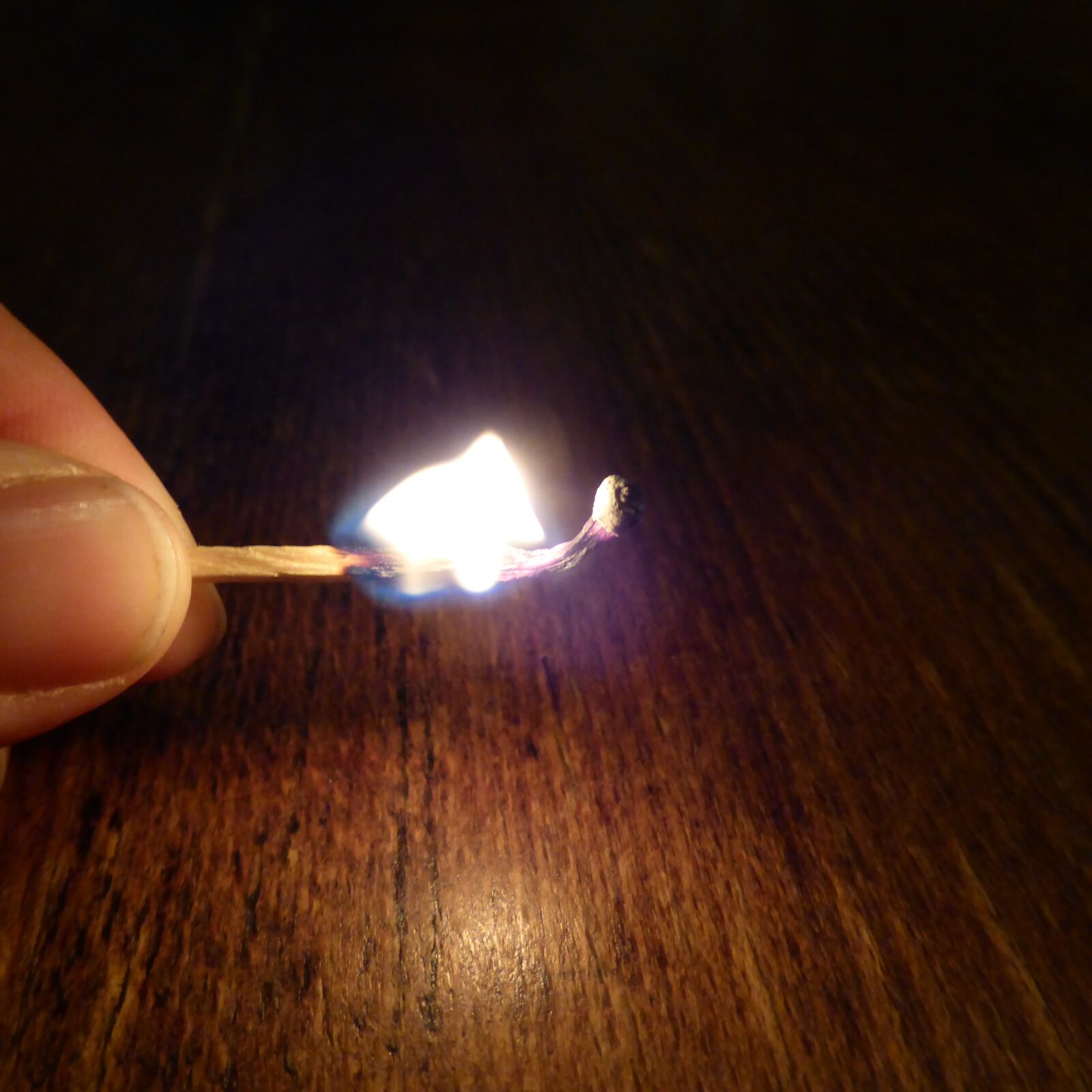 Panasonic DMC-TZ41 sample photo. Match, fire, burn photography