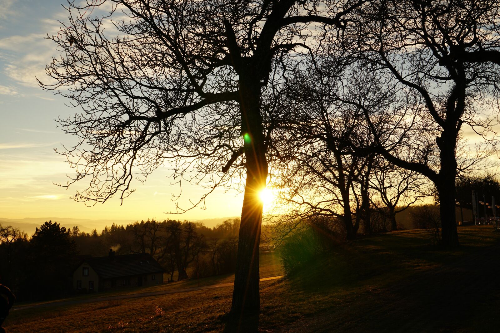 Sony a6300 + Sony Vario Tessar T* FE 24-70mm F4 ZA OSS sample photo. Sunset, abendstimmung, tree photography