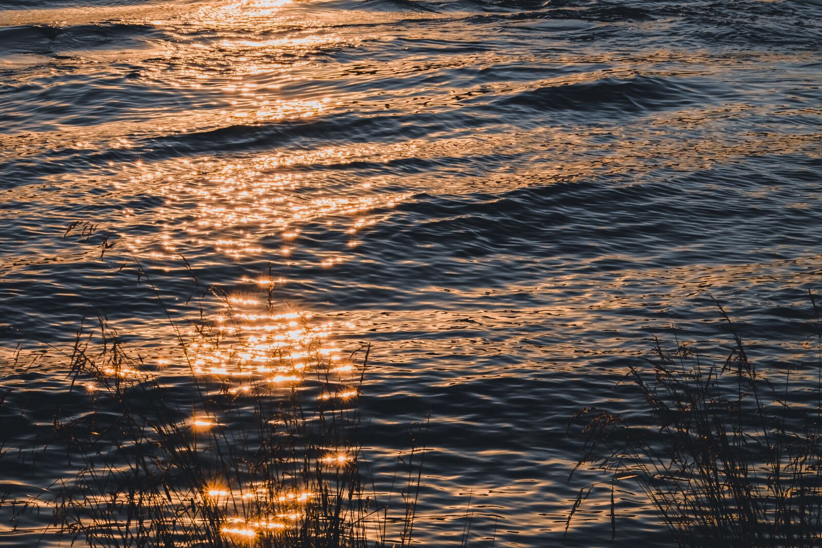 Fujifilm XF 55-200mm F3.5-4.8 R LM OIS sample photo. River, water, wave photography