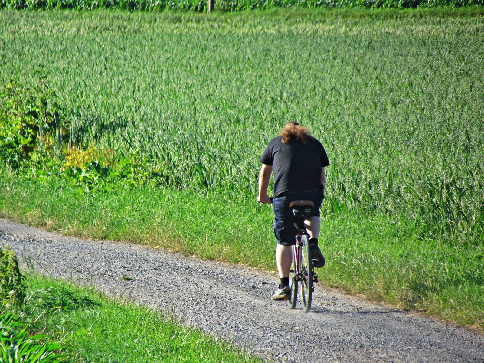 Canon PowerShot SX30 IS sample photo. Bike, male, field photography
