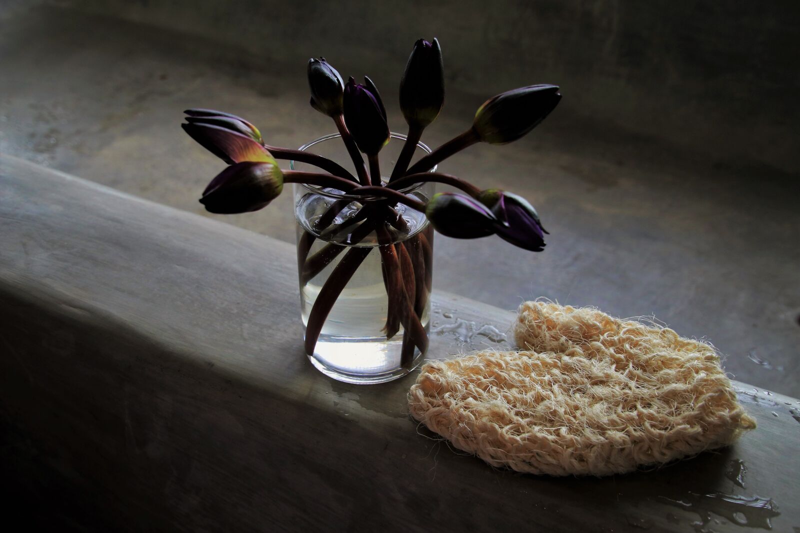 Canon EOS 80D sample photo. Cup, bouquet, bathroom photography