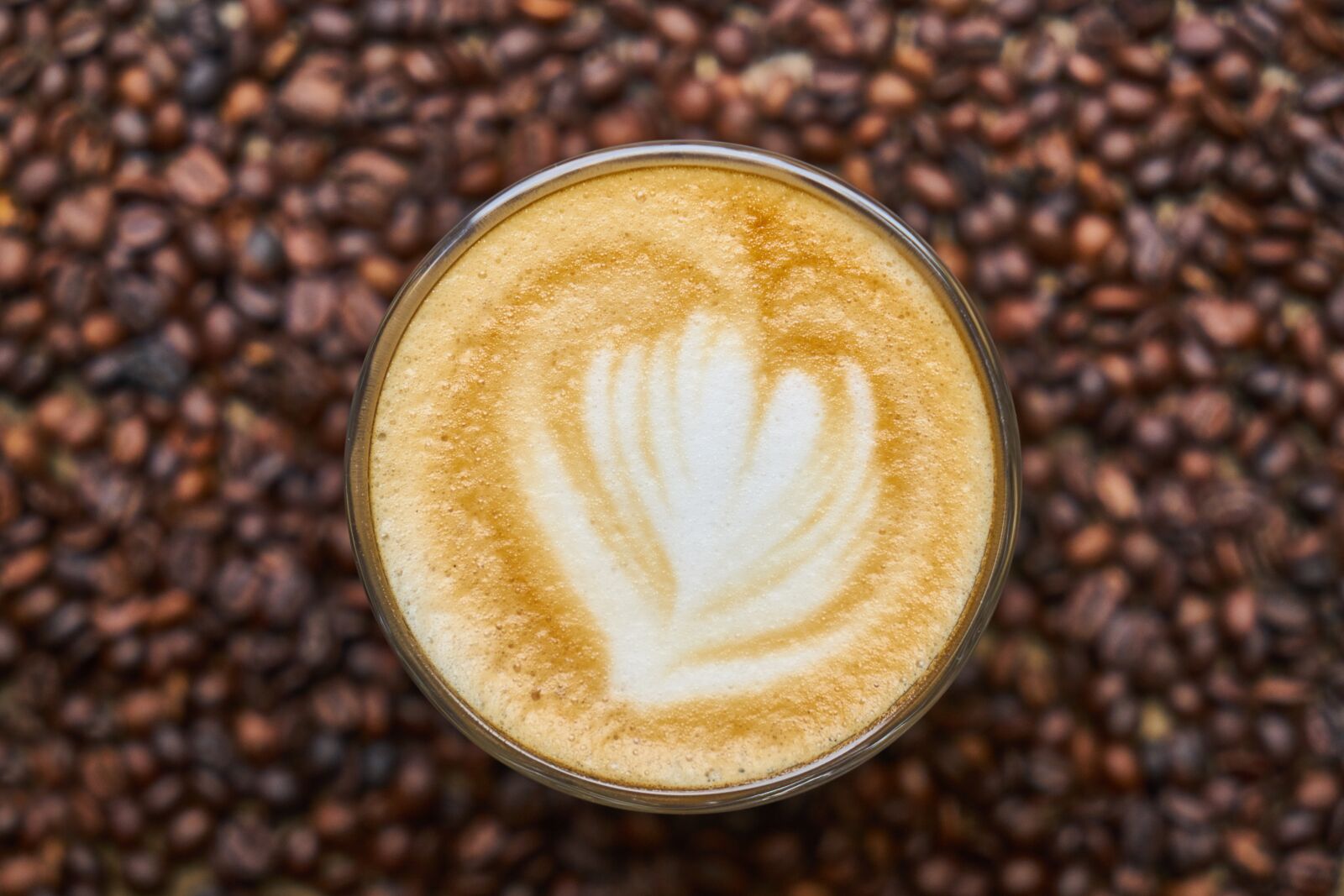 Sony a7R II sample photo. Latte, coffee, beverage photography