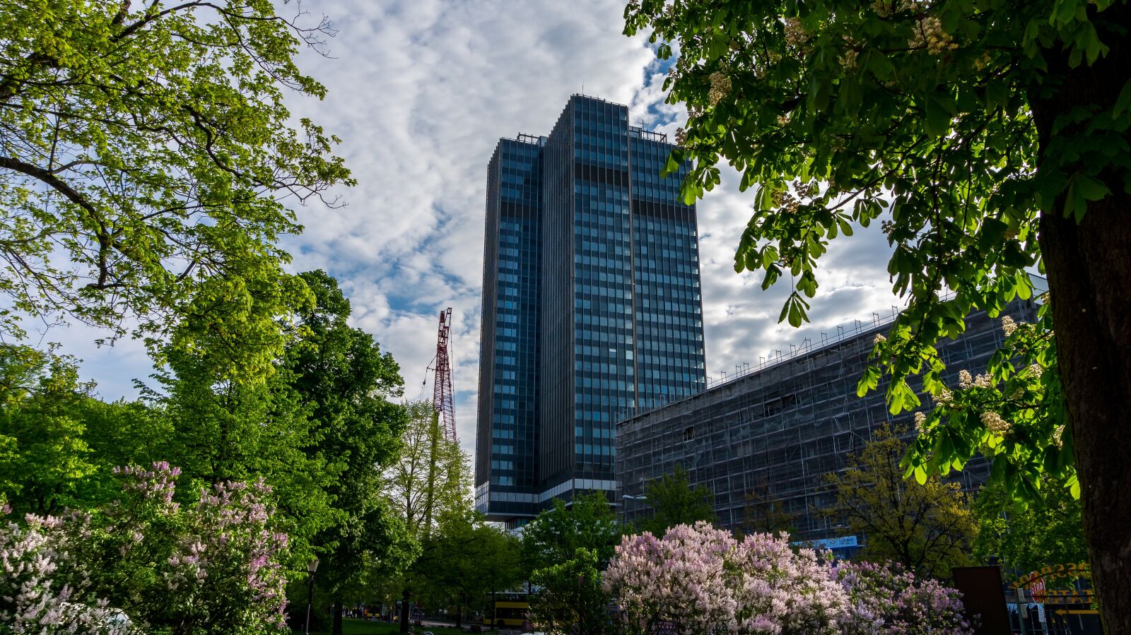 Sony Alpha a5000 (ILCE 5000) sample photo. Tree, city, architecture photography