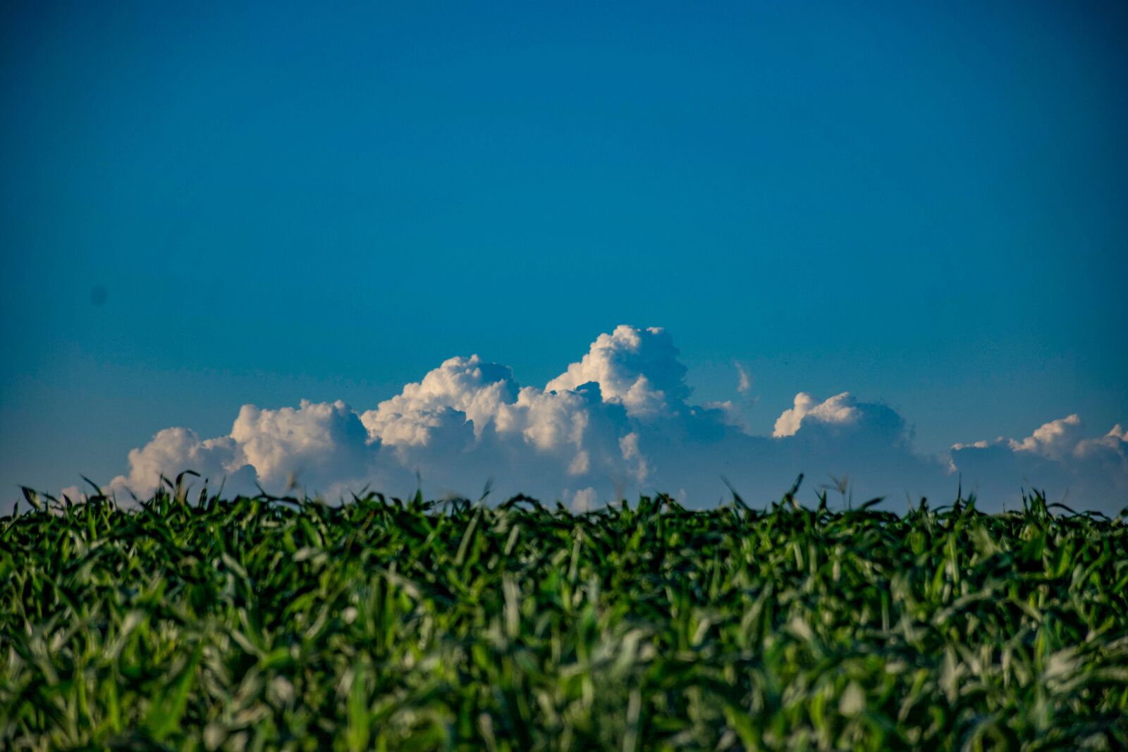 Nikon D7200 sample photo. Cloud, sky, field photography