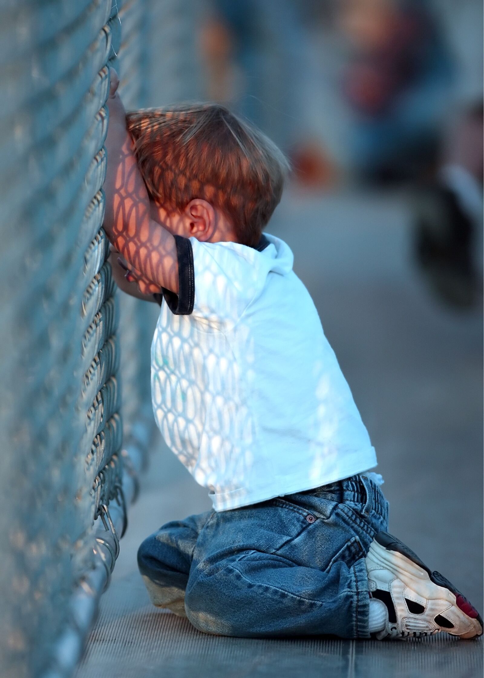 Canon EOS-1D Mark II N sample photo. Baseball fan, boy, baseball photography