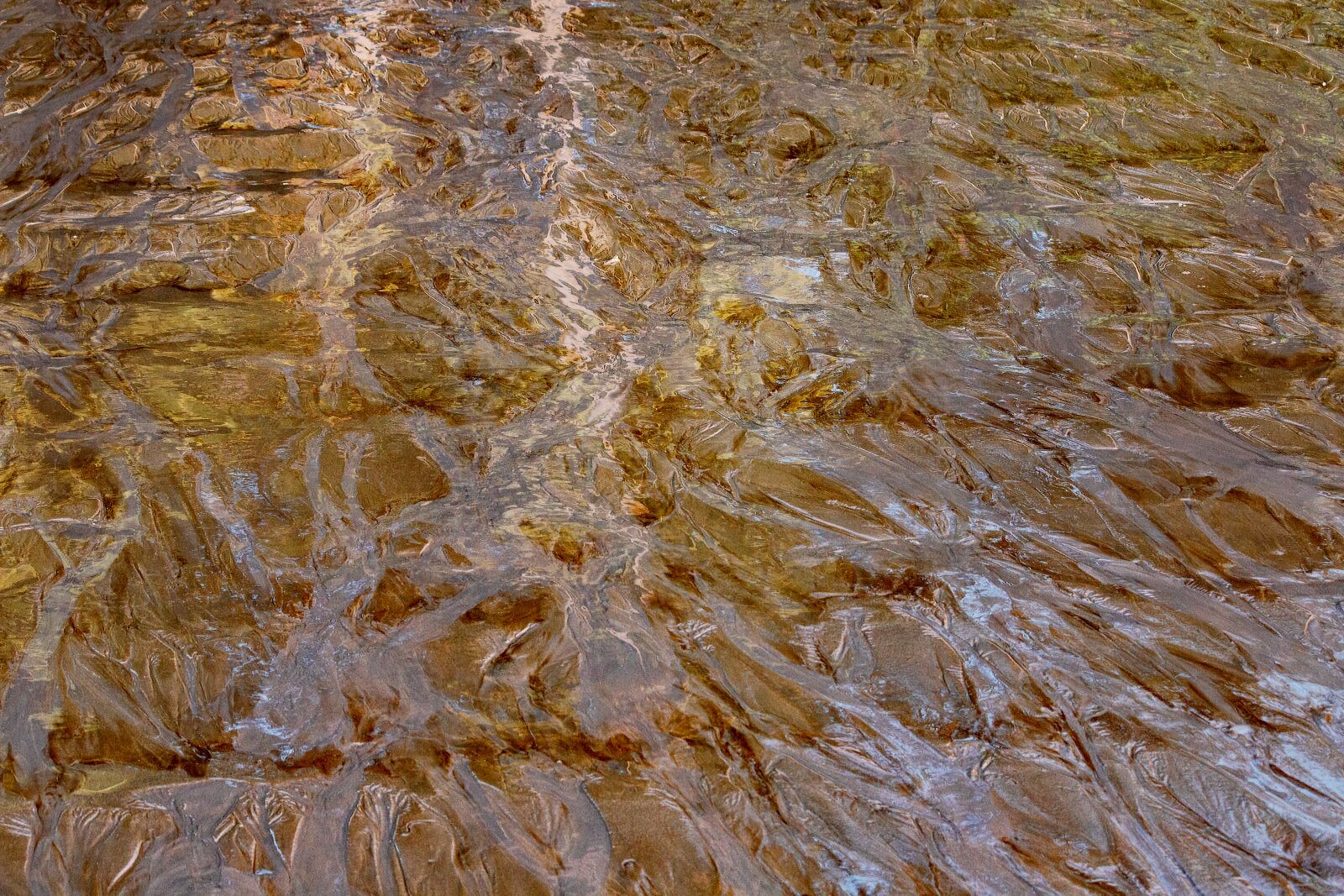 Canon EF-S 55-250mm F4-5.6 IS sample photo. Background, pattern, texture photography