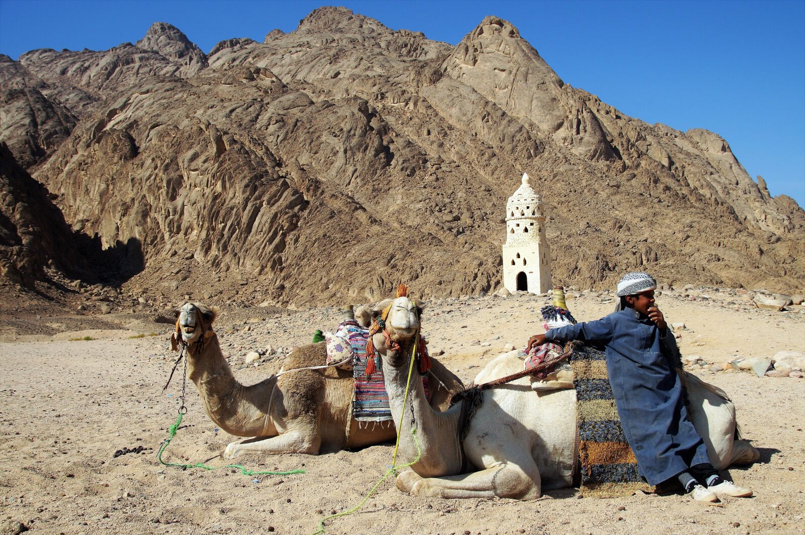 Sony SLT-A58 sample photo. Desert, bedouin, young photography