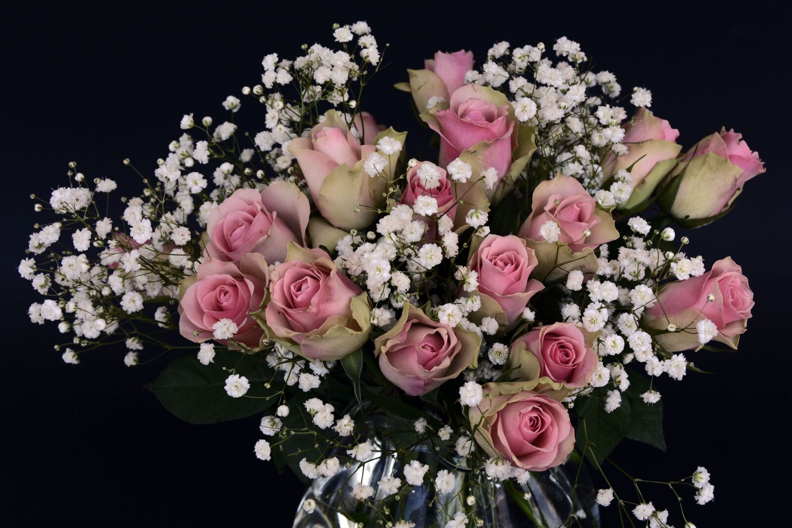 Nikon D7100 sample photo. Roses, rose flower, flowers photography
