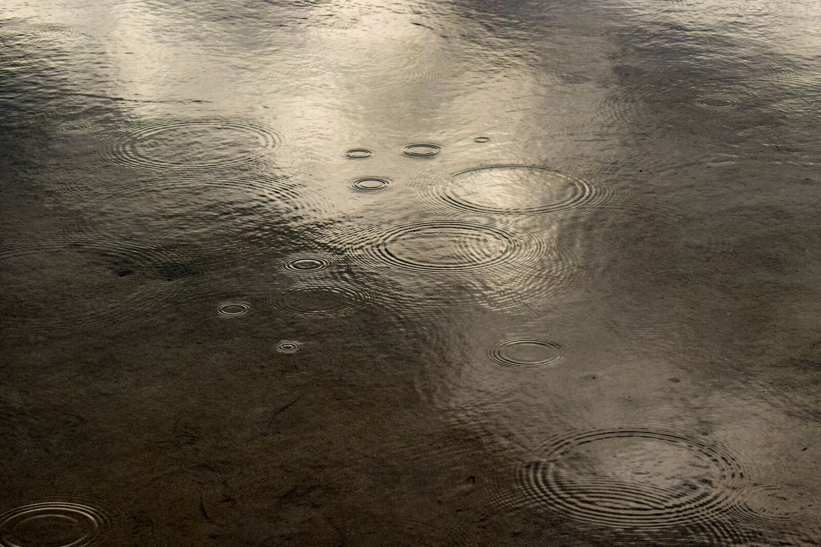 Nikon D3300 sample photo. Rain, circles, water photography