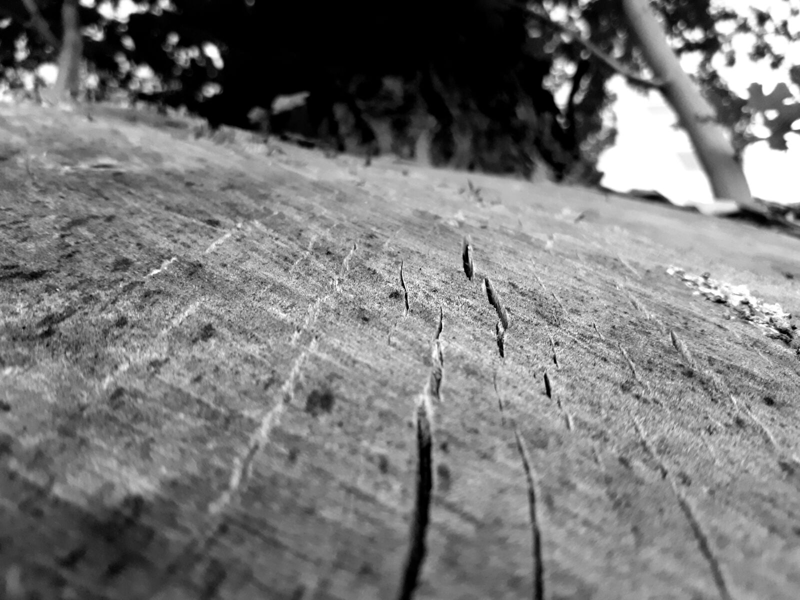 Samsung Galaxy A5(2017) sample photo. Black, black, white, dead photography