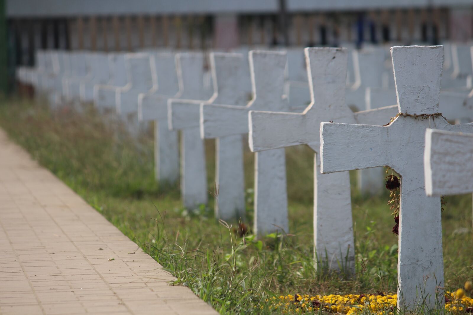 Canon EOS 700D (EOS Rebel T5i / EOS Kiss X7i) sample photo. Outdoors, stone, grass photography