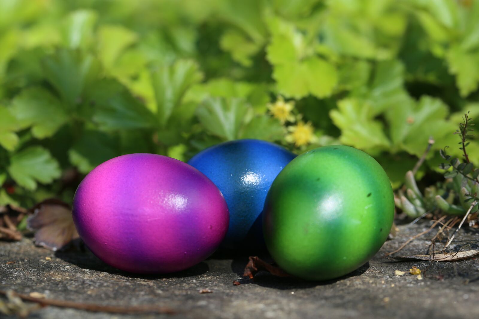 Canon EF 100mm F2.8L Macro IS USM sample photo. Easter, easter eggs, colorful photography