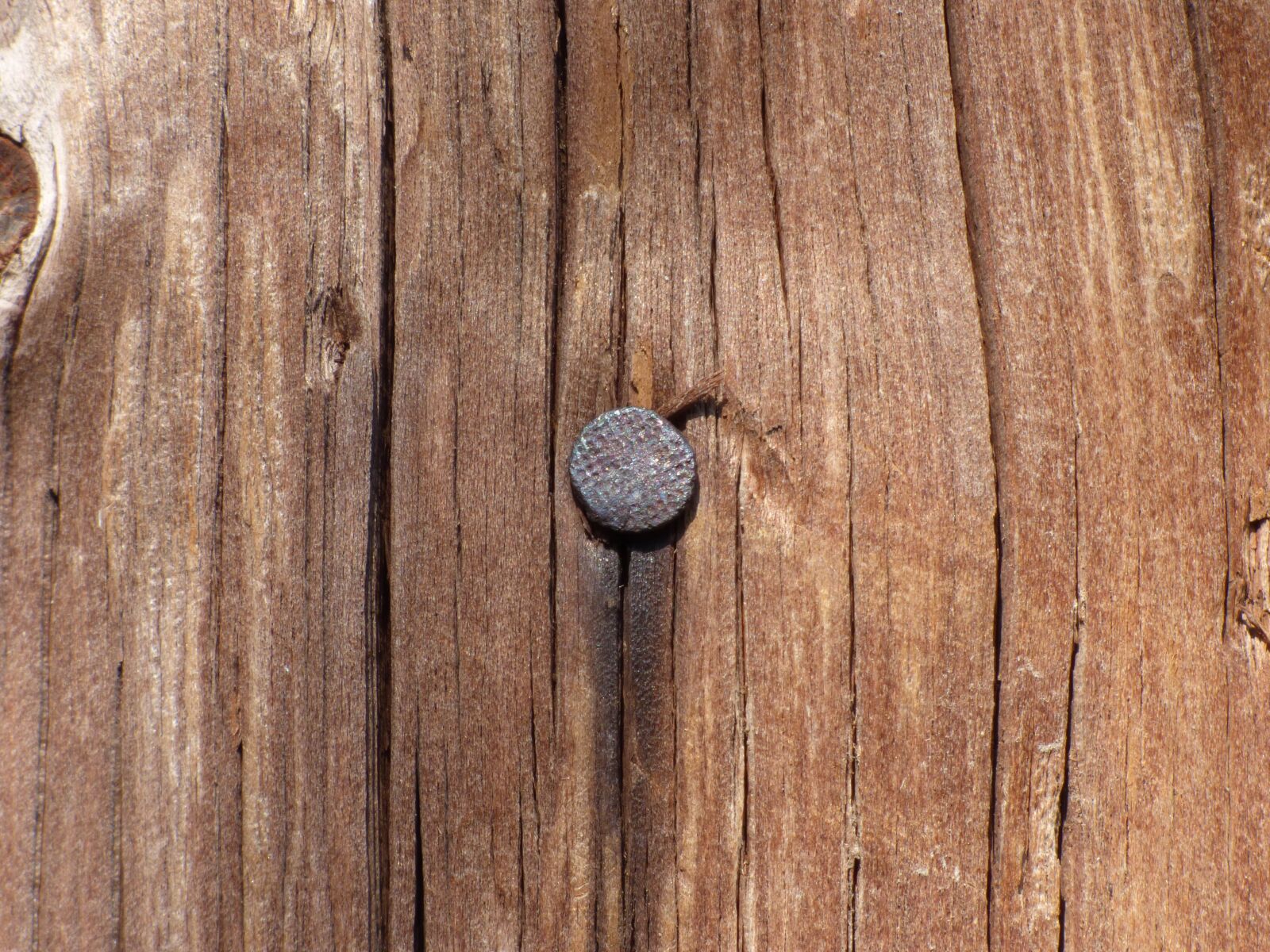 Panasonic Lumix DMC-FZ70 sample photo. Nail, wood, nailed photography