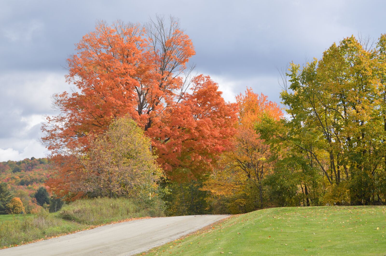 Nikon D3200 sample photo. Fall, foliage, back road photography
