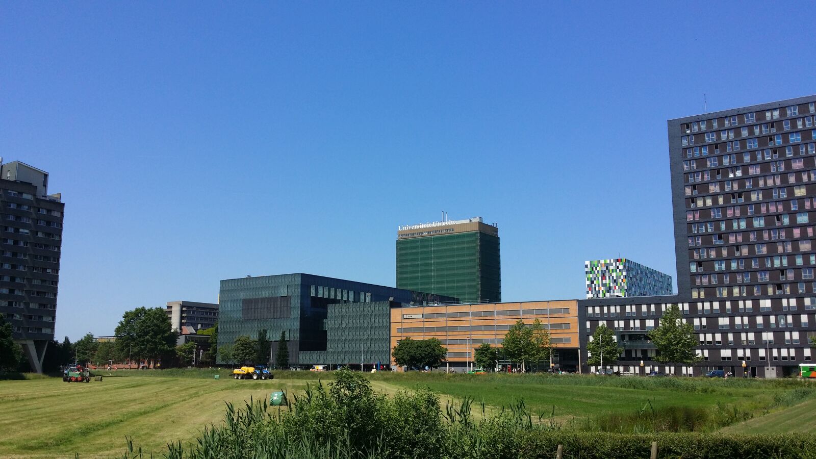 Samsung Galaxy S4 sample photo