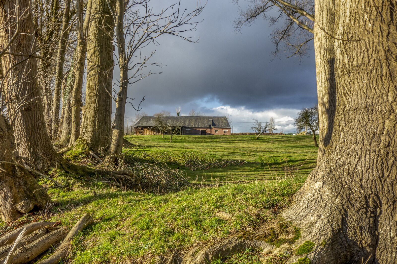 Sony Cyber-shot DSC-RX100 sample photo. Landscape, field, france photography