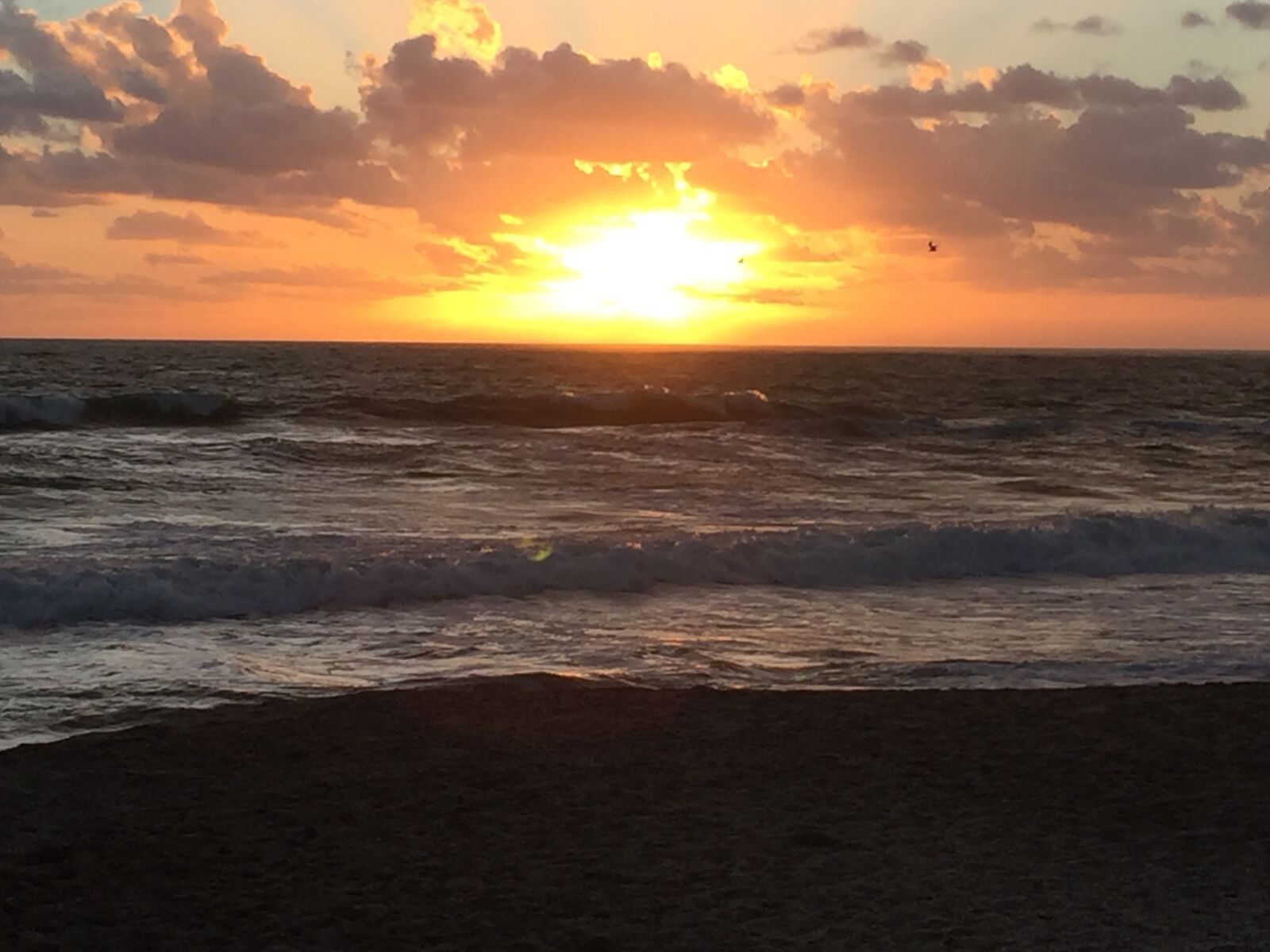 Apple iPhone 6 Plus sample photo. Sunrise, morning, beach photography