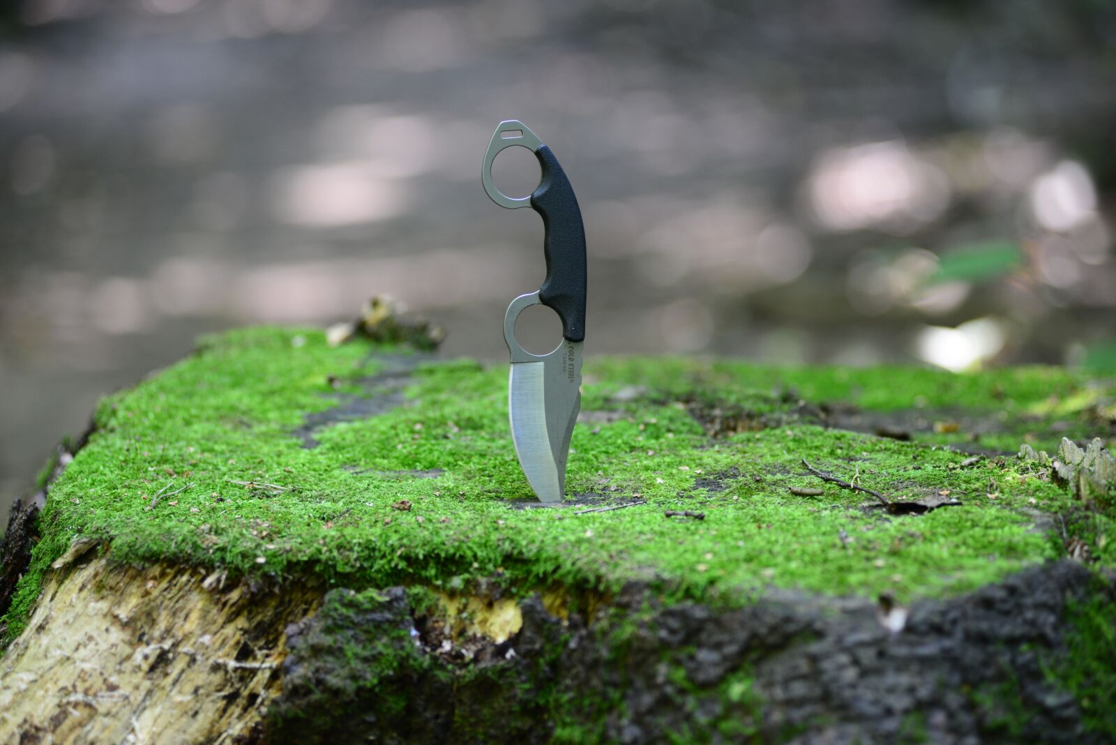 Nikon D800 sample photo. Knife, stump, coldsteel photography